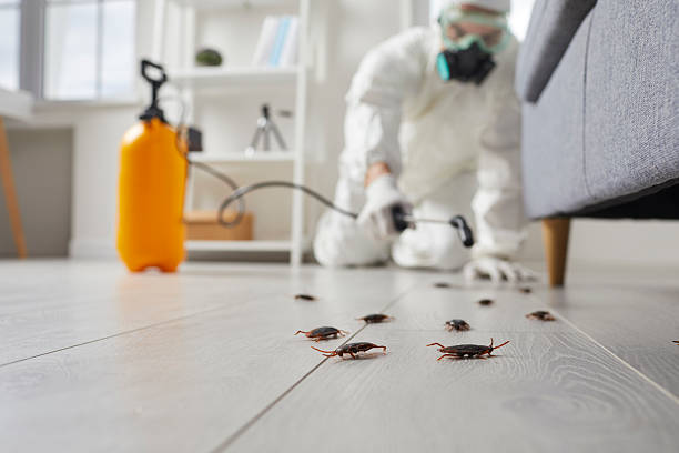 Post-Treatment Bed Bug Interceptor Monitoring in Westmorland